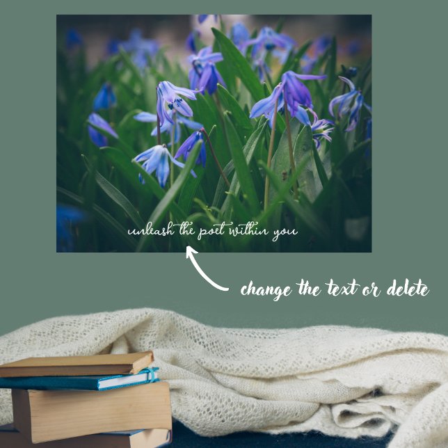 Poster Fleurs de scilla bleue dans le jardin de printemps (Créateur téléchargé)