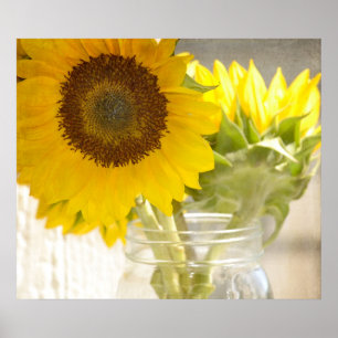 Poster Fleurs de soleil