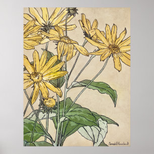 Poster Fleurs de soleil