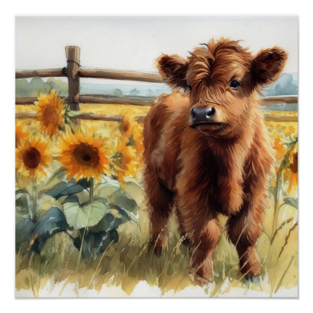 Poster Fleurs de soleil d'aquarelle et veau des Highlands (Devant)