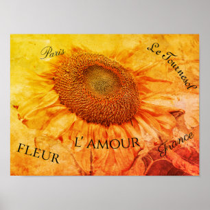 Poster Fleurs de soleil géantes Grunge jaune Script Vinta