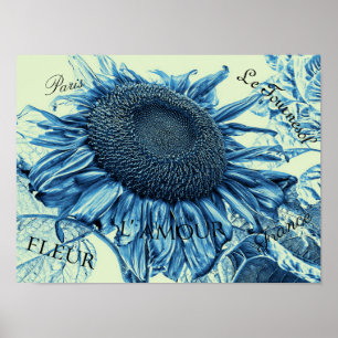 Poster Fleurs de soleil géantes Vintage Art bleu vert Scr