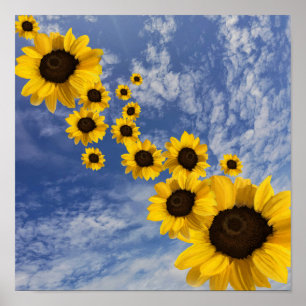 Poster Fleurs de soleil réalistes dans le ciel bleu