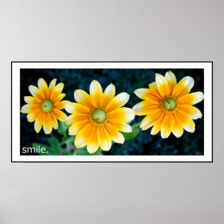 Poster Fleurs de soleil souriantes