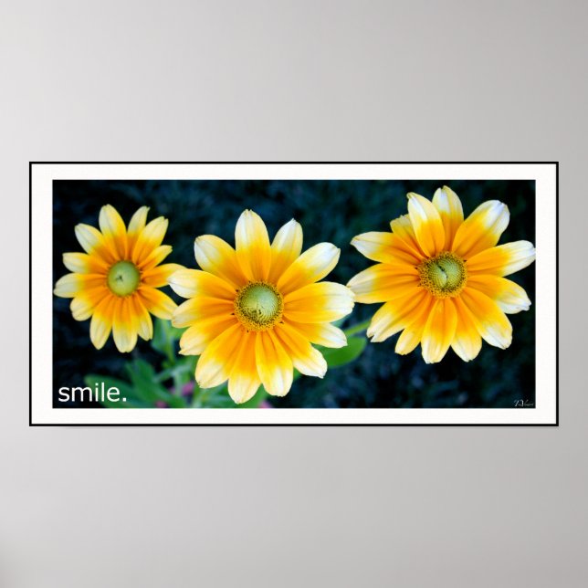 Poster Fleurs de soleil souriantes (Devant)