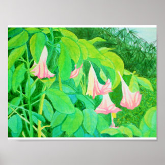 Poster Fleurs de trompette et cyprès aquarelle