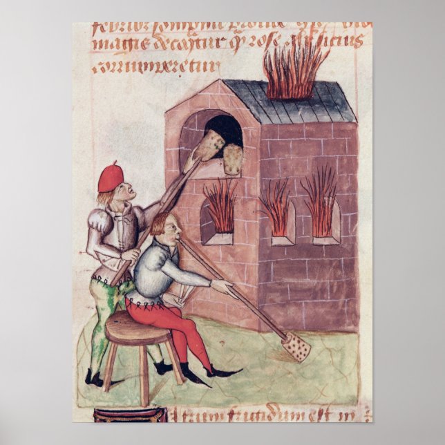 Poster Fleurs de verre, de "Tractatus de Herbis" (Devant)