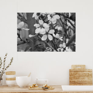 Poster Fleurs délicates 3623