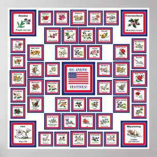 POSTER FLEURS D'ÉTAT DES ETATS-UNIS 50 WHITE/559