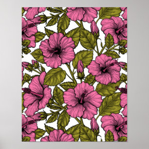 Poster Fleurs d'hibiscus roses