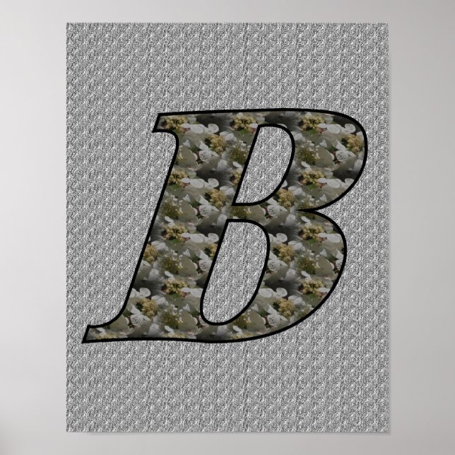 Poster Fleurs d'hortensia à monogramme initial B (Devant)
