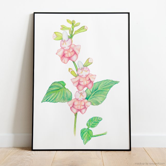 Poster Fleurs d'Imaginaire rose blanc Buds Aquarelle (magical watercolor illustration featuring three darling pink flower beings on a vibrant green stem)