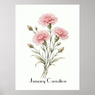 Poster Fleurs d'œillet de janvier