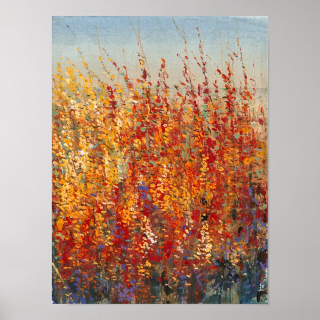 Poster Fleurs du désert II (Devant)