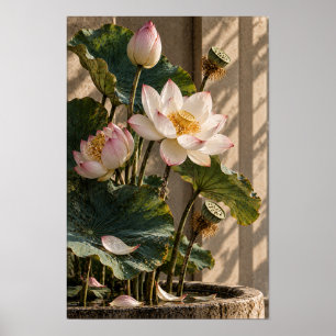 Poster Fleurs et capsules de lotus rose botanique murale
