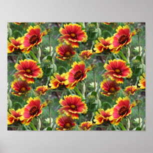 Poster Fleurs Faisées Rouges Et Jaunes