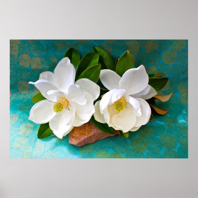 Poster Fleurs | Fleur Magnolia (Devant)