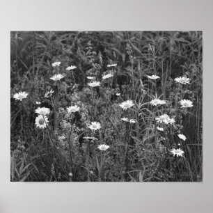 Poster Fleurs Fleurs Fleurs Noir Blanc Imprimer