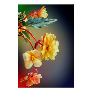 Poster Fleurs, Fleurs Jaunes, Pétales