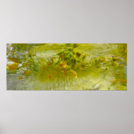 Poster Fleurs glacées,