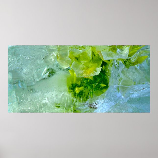 Poster Fleurs glacées, (Devant)