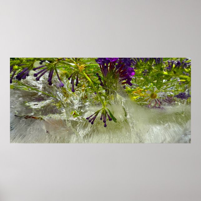 Poster Fleurs glacées, (Devant)