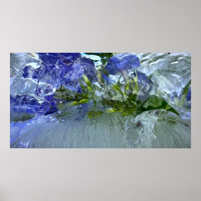 Poster Fleurs glacées, (Devant)