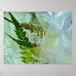 Poster Fleurs glacées,