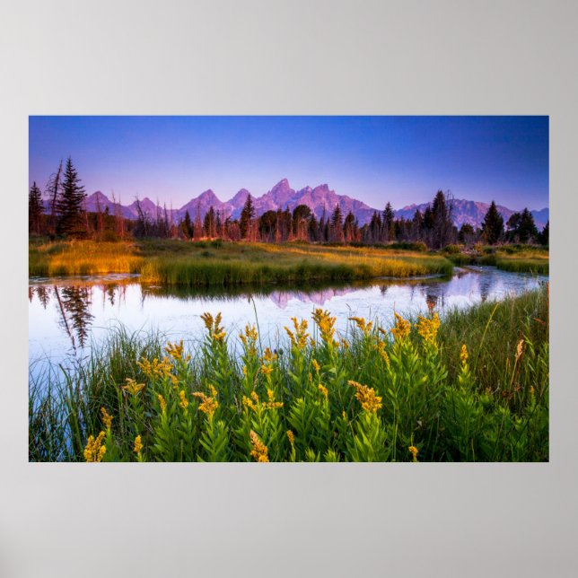 Poster Fleurs | Grand Teton National Park, Wyoming (Devant)