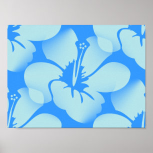 Poster Fleurs hawaïennes de ketmie