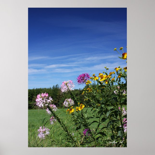 Poster Fleurs inclinables (Devant)