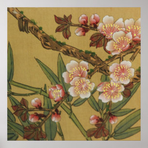 Poster Fleurs Japonaises Asiatiques Floraison de Cerisier