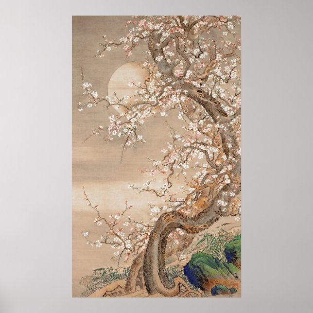 Poster Fleurs japonaises de prune au clair de lune (Devant)