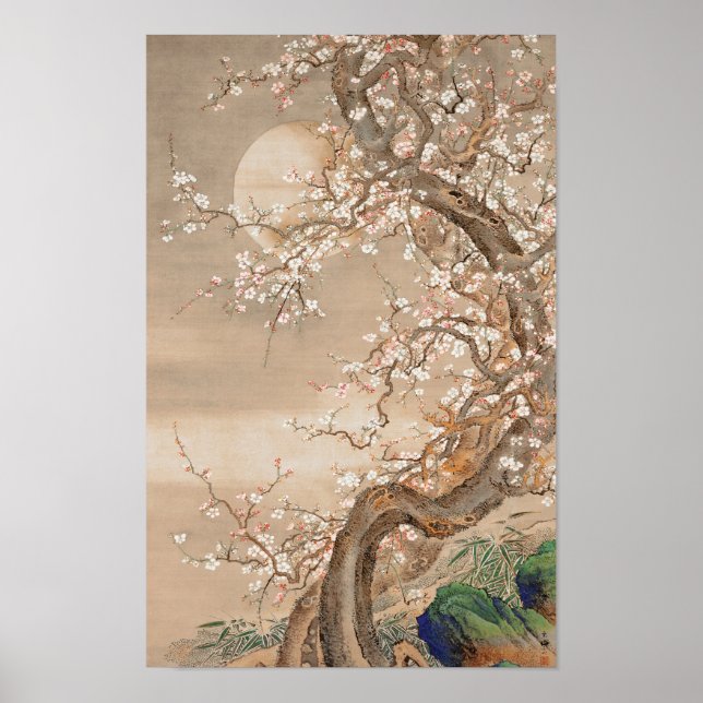 Poster Fleurs japonaises de prune au clair de lune par Sō (Devant)