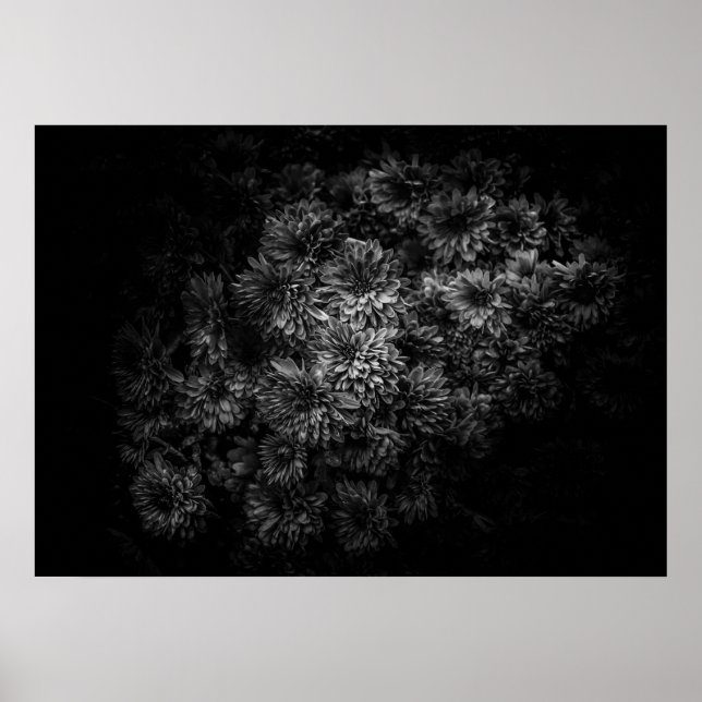 Poster Fleurs jardins En Noir Et Blanc No 29 (Devant)