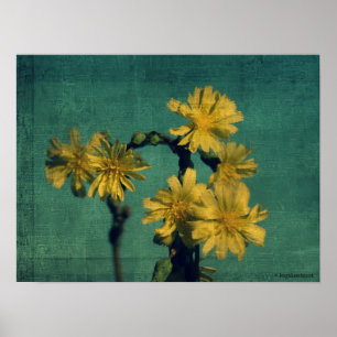 Poster Fleurs jaunes