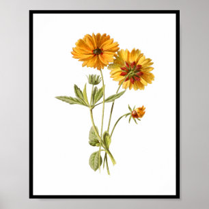 Poster Fleurs Jaunes simples Florales