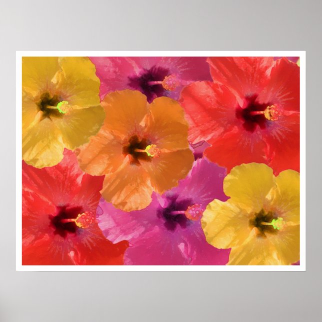 Poster Fleurs lumineuses (Devant)