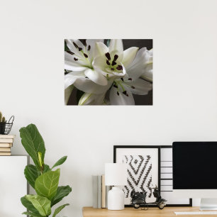 Poster Fleurs Lys Orientales Blanches