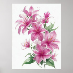 Poster Fleurs Lys Orientales Roses