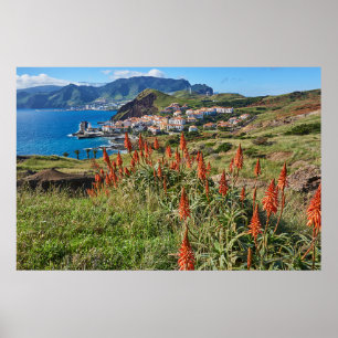 Poster Fleurs Madeira Island Portugal