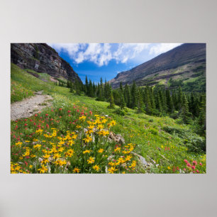 Poster Fleurs   Montana Flower Path