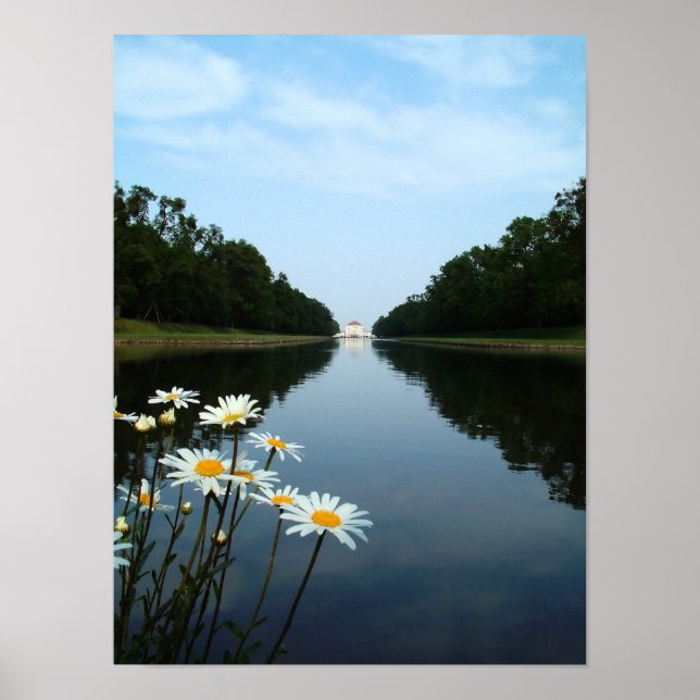 Poster Fleurs Nymphenburg (Devant)