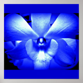 Poster Fleurs peintes à l'affiche 13