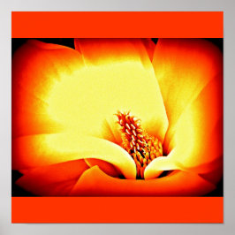 Poster Fleurs peintes à l'affiche 9