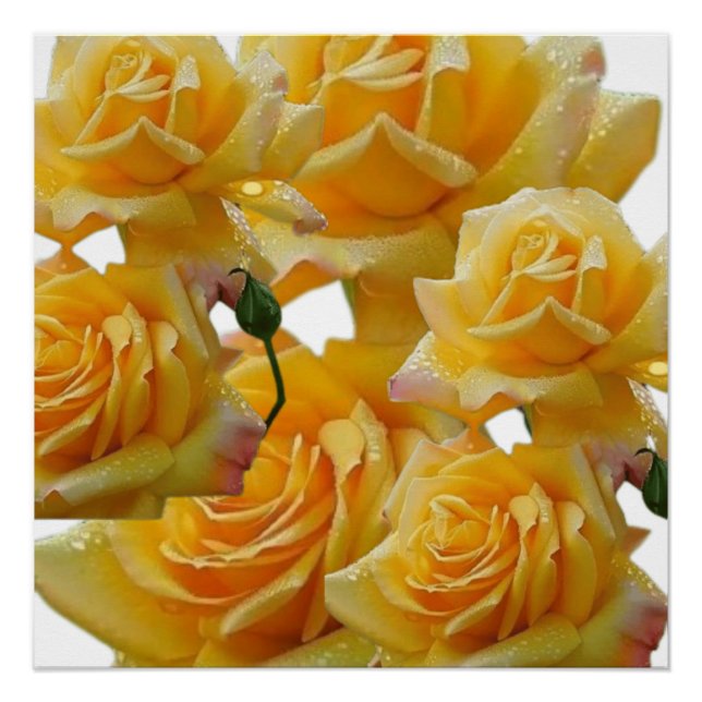 Poster Fleurs pour maisons (Devant)