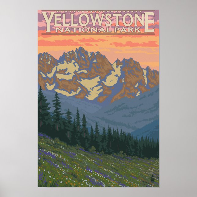 Poster Fleurs printanières - Parc national de Yellowstone (Devant)