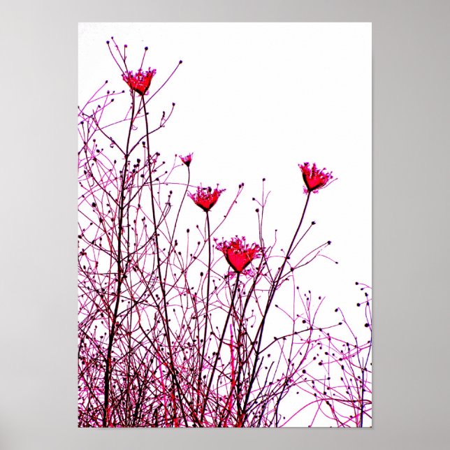 Poster fleurs roses (Devant)