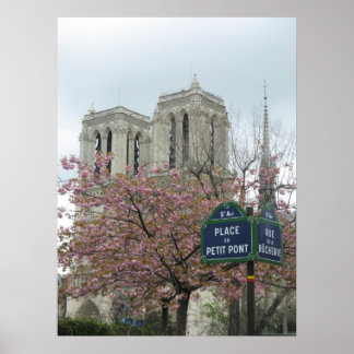 Poster Fleurs roses à Notre Dame