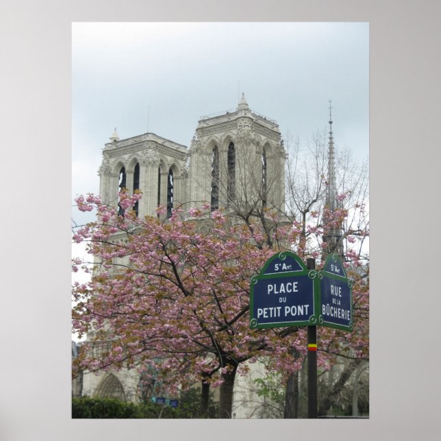 Poster Fleurs roses à Notre Dame (Devant)